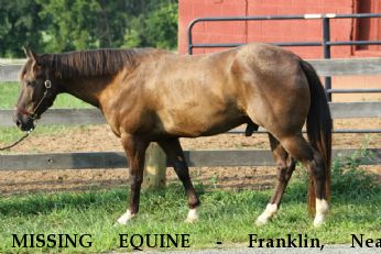 MISSING EQUINE - Franklin, Near Darlington, MD, 21034